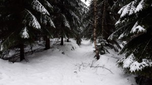 WhatsApp Image 2023-12-16 at 13.15.59.jpeg